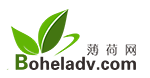 薄荷网