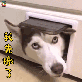 微信图片_20181030103339.gif