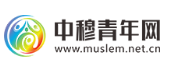 中穆青年网