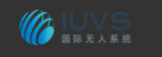国际无人机系统
